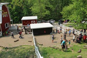 This is an overhead picture of Old MacDonald Farm. The camera is centered over the back gravel area behind the barn. People are scattered around doing various activities.